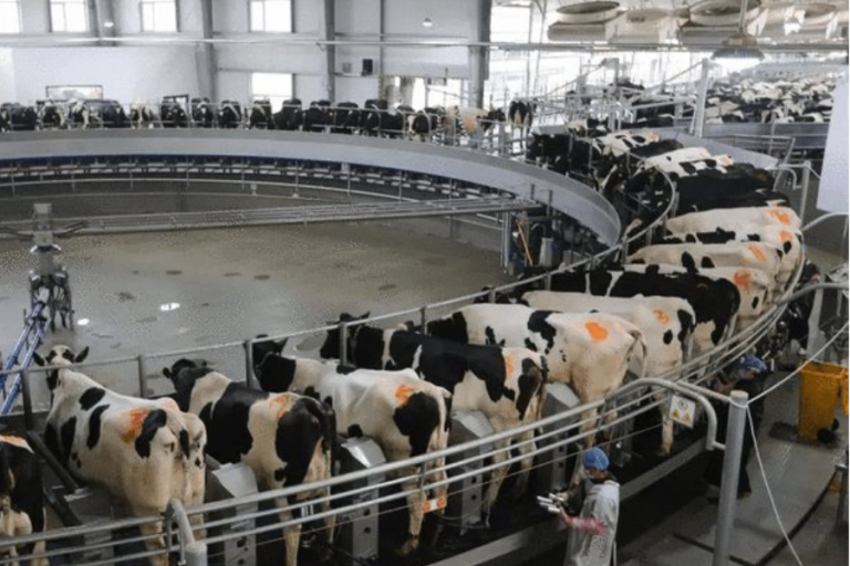 Milk Producer AustAsia Makes Fresh IPO Pitch, with Client Backing