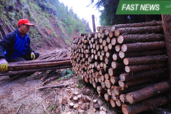 FAST NEWS: China Wood posts large profit as trading resumes - Bamboo ...