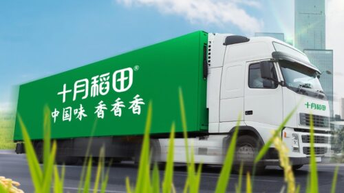 Shiyue Daotian welcomes a bumper harvest as revenue from corn products jumped up by more than five-fold