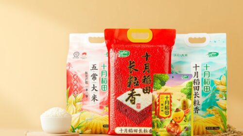Shiyue Daotian serves up tasty dividends as profits surge
