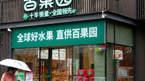 Pagoda taps investors with stock placement to repay high debt after weak results