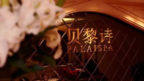 Beauty Farm operates the Palaispa brand