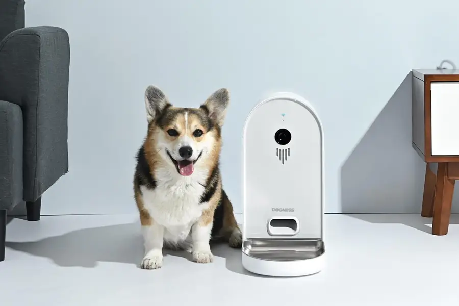 Dogness makes products for dogs