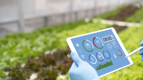 Deltaphone Tech plans Hong Kong listing as path to profitability beckons