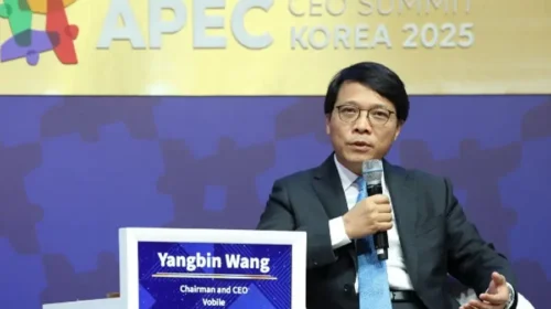 Vobile does video protection