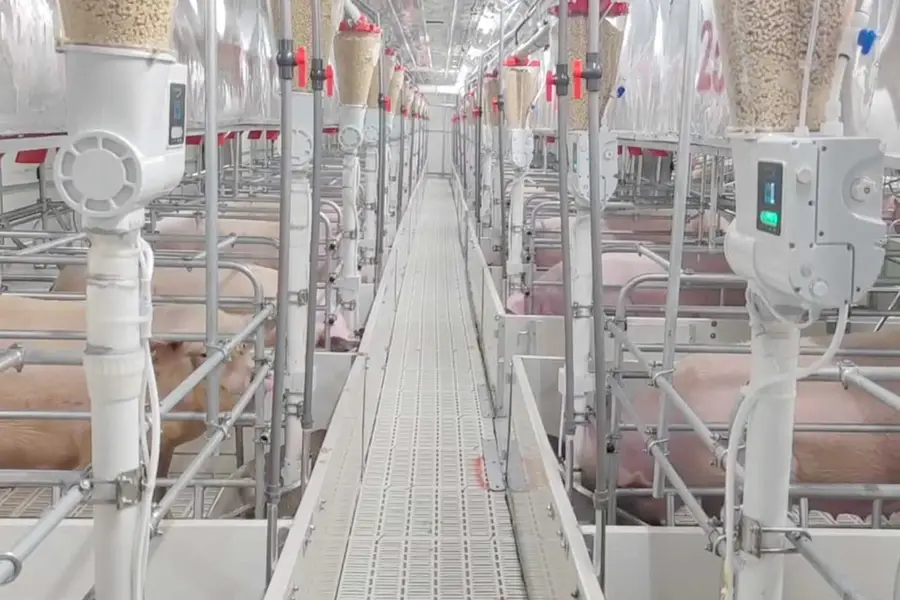 Muyuan is a pig breeder