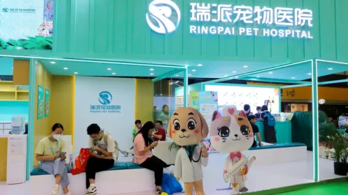 Low margins and persistent losses plague pet healthcare. Does Ringpai offer any compelling investment merits?