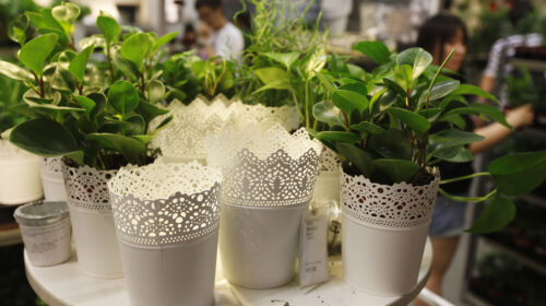 World’s leading plastic planters maker Consumer Solution seeks Hong Kong listing