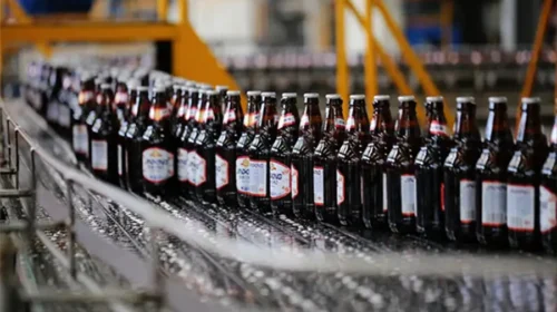 Not competing on quantity but on flavor: Kingstar Brewery strikes it rich with Chinese-style craft beer