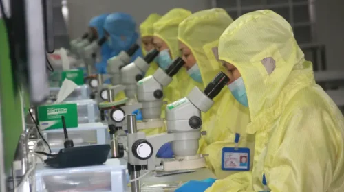 pharmaceutical rally in 2025