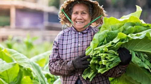 Yimutian runs an agricultural e-commerce site