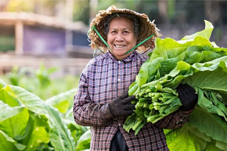 Yimutian runs an agricultural e-commerce site
