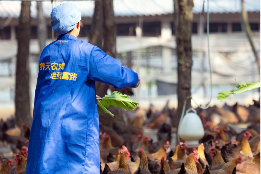Sluggish pork sales growth leaves Tinoos's prospects temporarily unclear