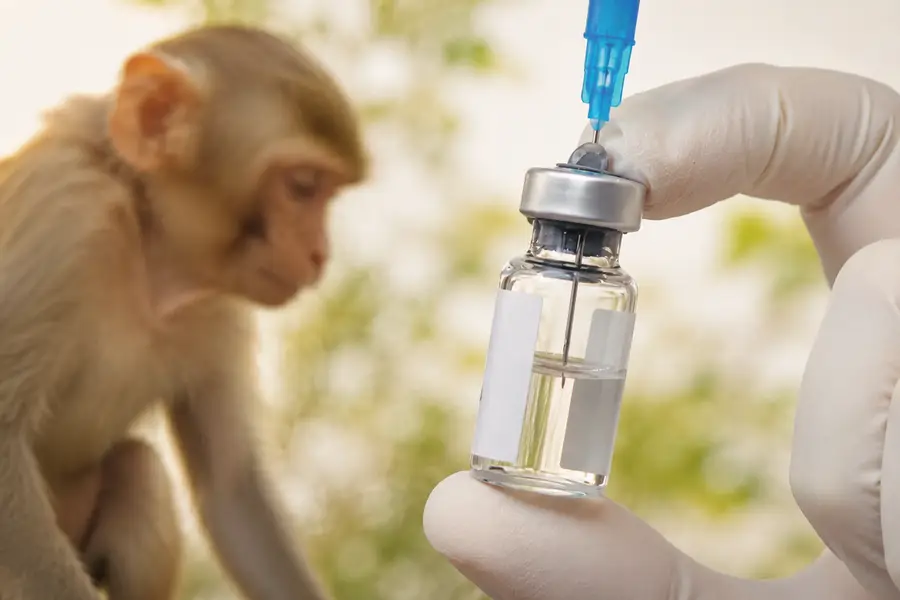 Joinn’s profit figures spark market outbreak of “monkey fever”