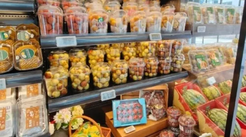 Pagoda does fruit