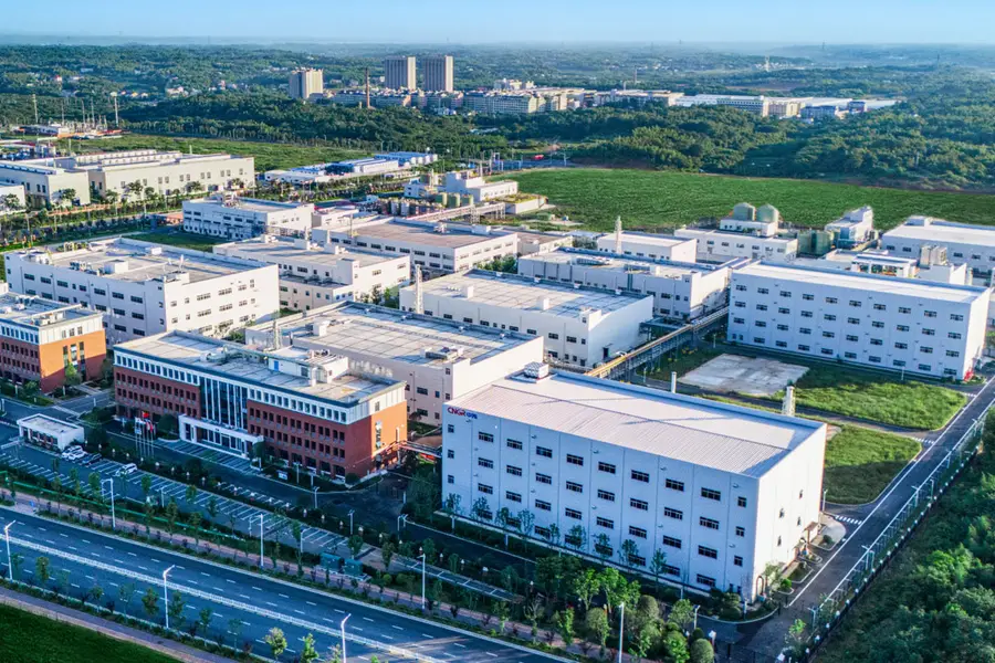 CNGR pivots towards phosphates