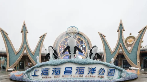 Bleeding cash and buried in debt, Haichang teeters on the brink of collapse