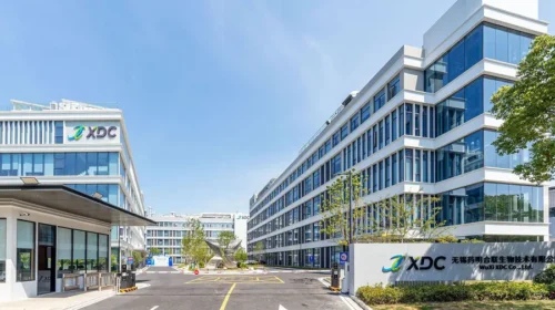WuXi XDC delivered strong half-year earnings