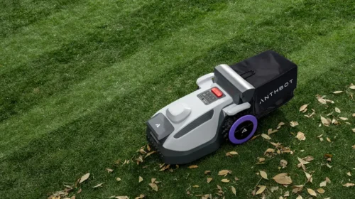 LDRobot buys a European ticket for a million euros; newly acquired German legacy brand requires immediate cash infusion
